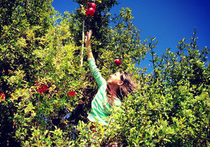 How to Start your Weekend off the Fresh Organic Way